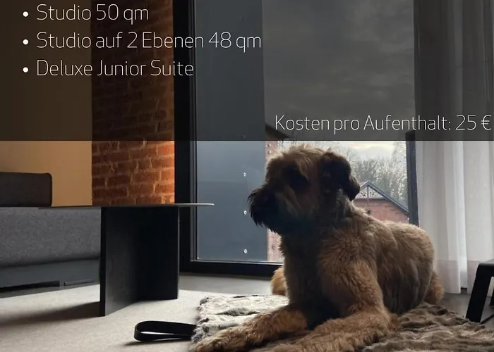 公寓式酒店 Poelter Bei Markus T